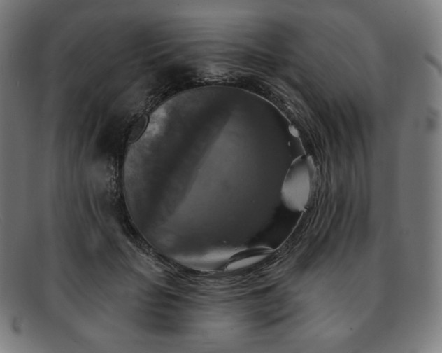 X0000091890653200709121441