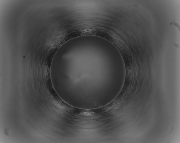 X0000091890654200709121441