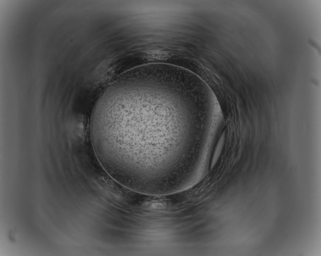X0000091890655200709121441