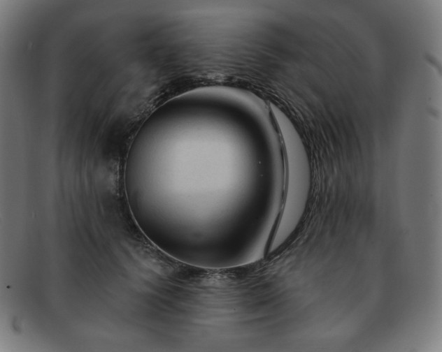 X0000091890656200709121441