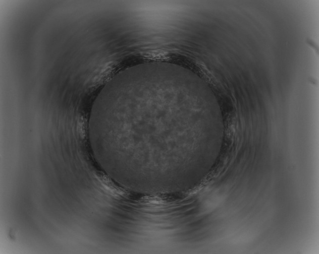X0000091890658200709121441