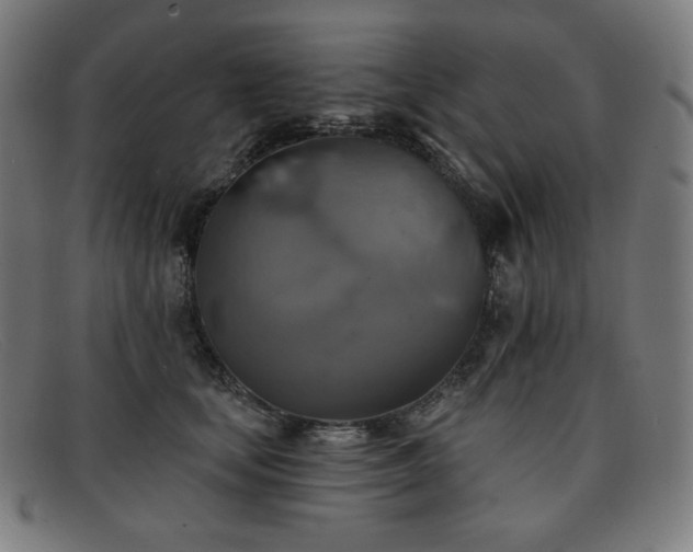 X0000091890659200709121441