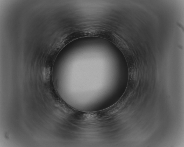 X0000091890660200709121441