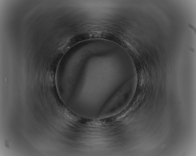 X0000091890661200709121441