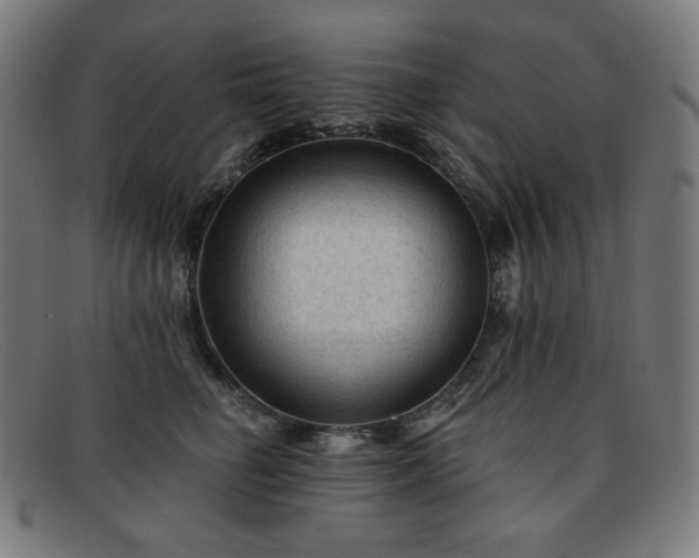 X0000091890662200709121441