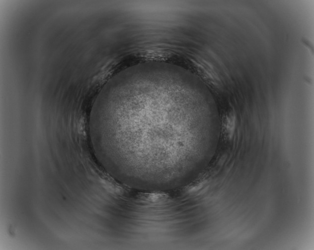 X0000091890663200709121441