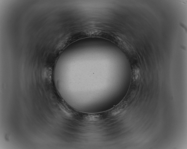 X0000091890664200709121441