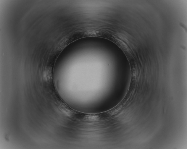X0000091890665200709121441