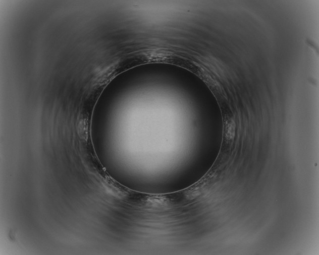 X0000091890666200709121441