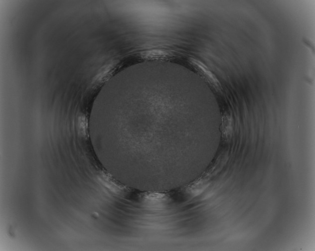 X0000091890669200709121441