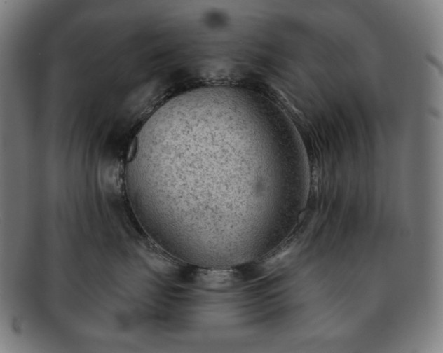 X0000091890671200709121441