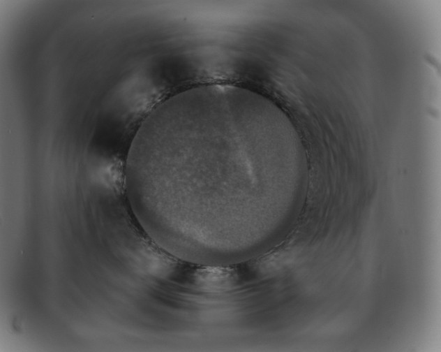 X0000091890672200709121441