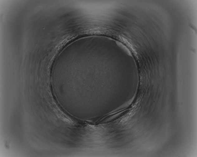 X0000091890673200709121440