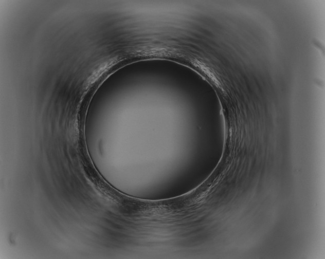 X0000091890674200709121440
