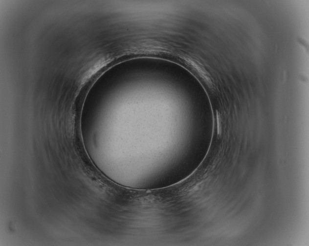 X0000091890675200709121440