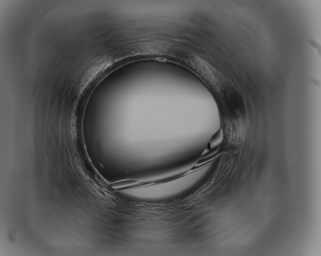 X0000091890676200709121440