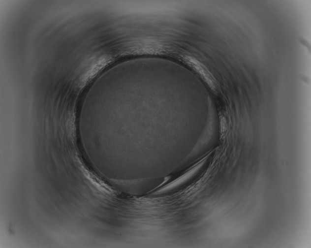 X0000091890677200709121440