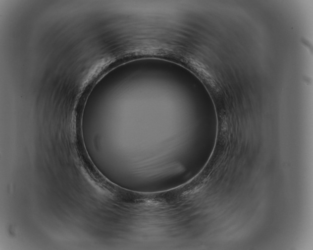 X0000091890678200709121440