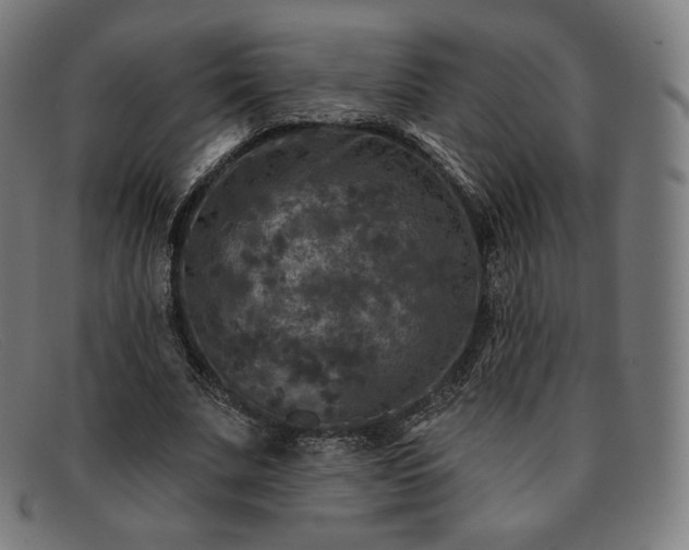 X0000091890679200709121440