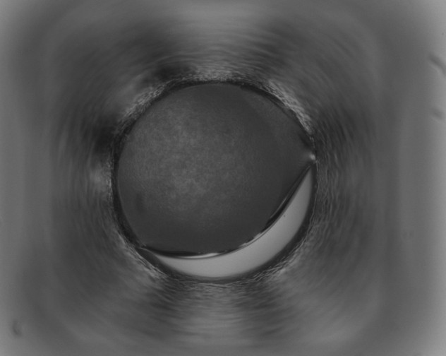 X0000091890681200709121440