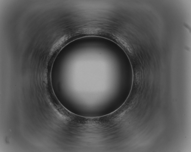X0000091890682200709121440