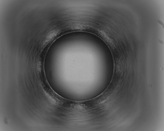X0000091890683200709121440