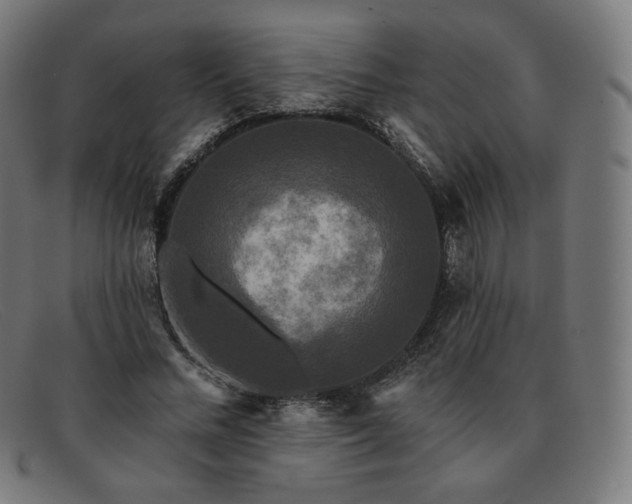 X0000091890684200709121440
