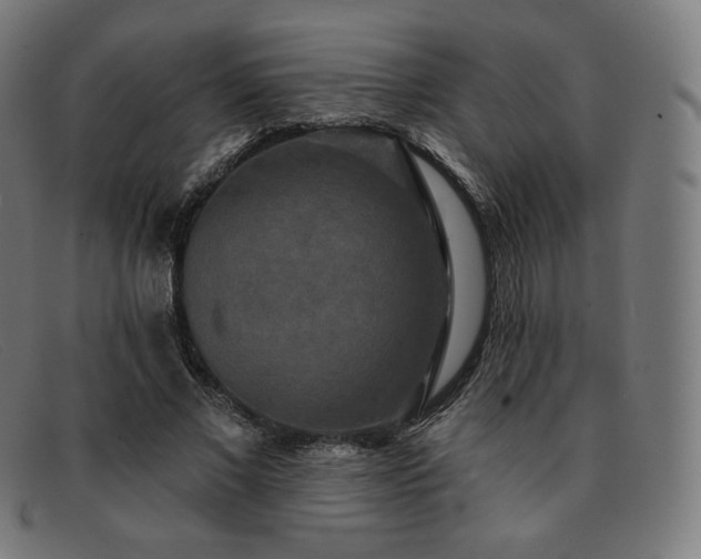 X0000091890685200709121440