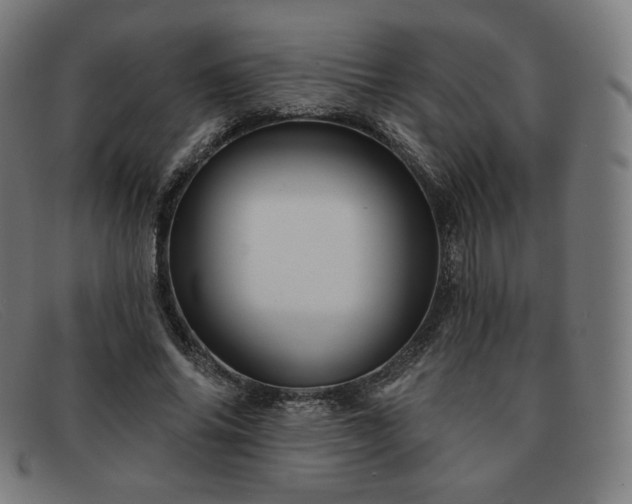X0000091890686200709121440