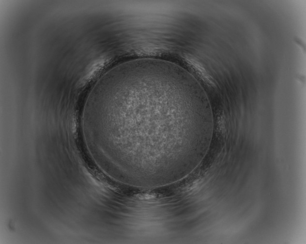 X0000091890687200709121440