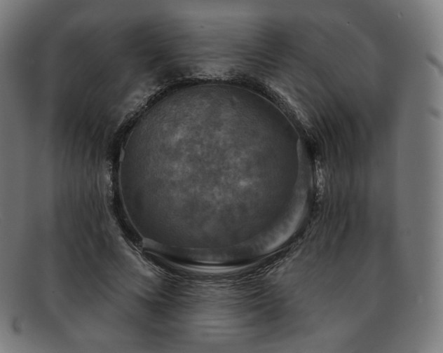 X0000091890688200709121440