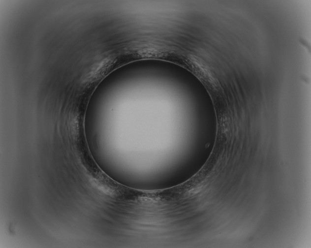 X0000091890690200709121440