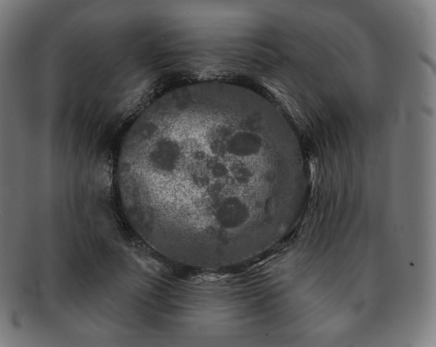 X0000091890691200709121440