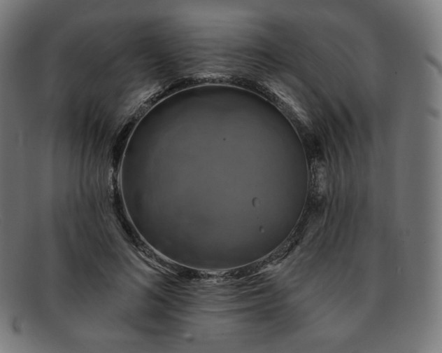 X0000091890692200709121440