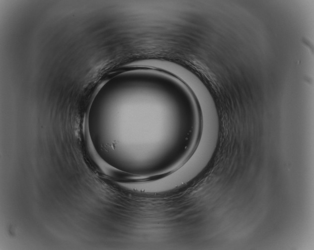 X0000091890693200709121440