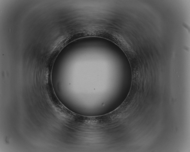X0000091890694200709121440