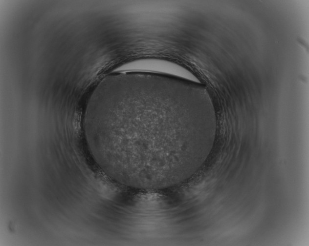 X0000091890695200709121440
