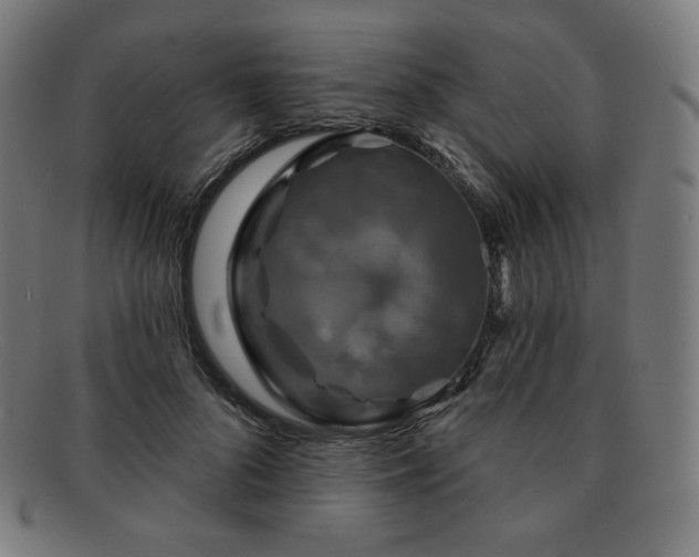 X0000091890696200709121440