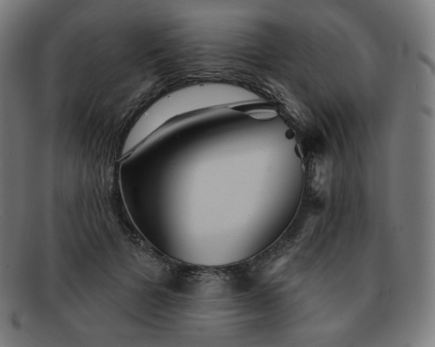X0000091890697200709121440