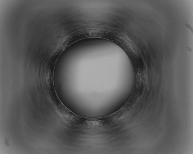 X0000091890698200709121440
