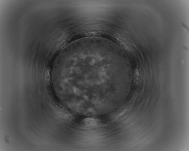 X0000091890699200709121440