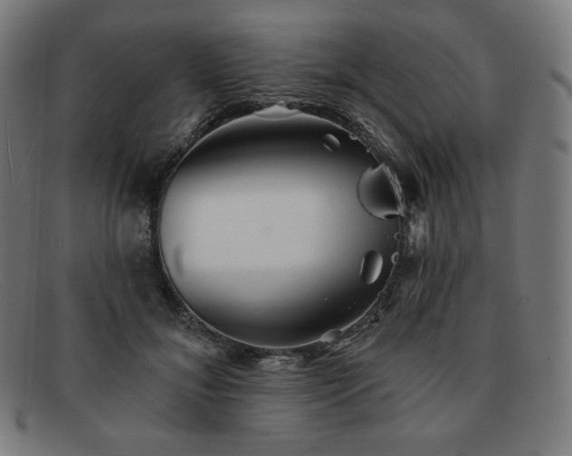 X0000091890700200709121440