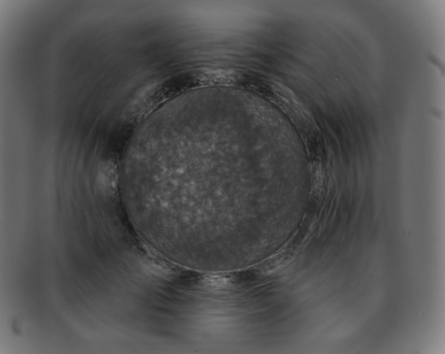 X0000091890701200709121440