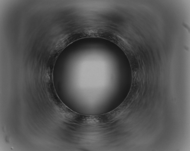 X0000091890702200709121440