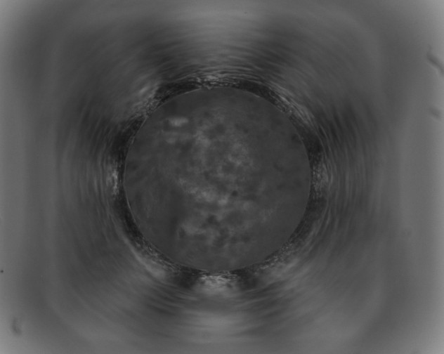 X0000091890703200709121440