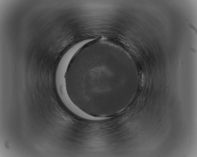 X0000091890704200709121440