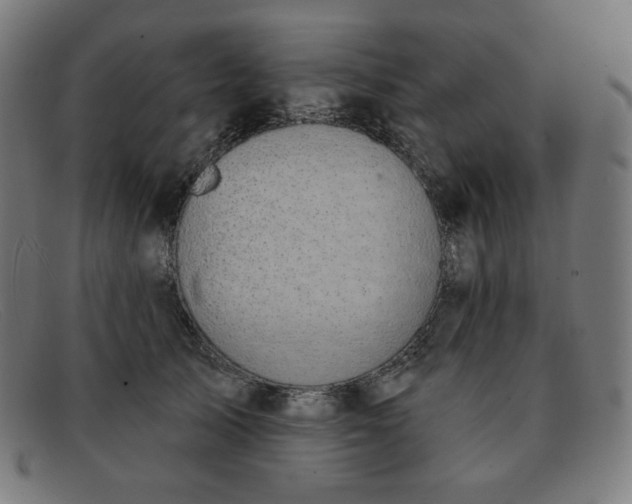X0000091890705200709121440