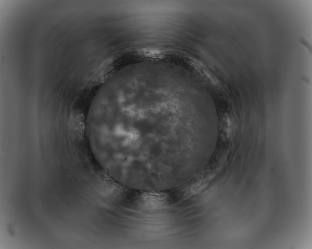 X0000091890707200709121440