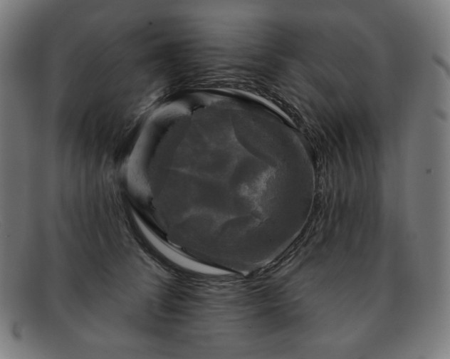 X0000091890708200709121440