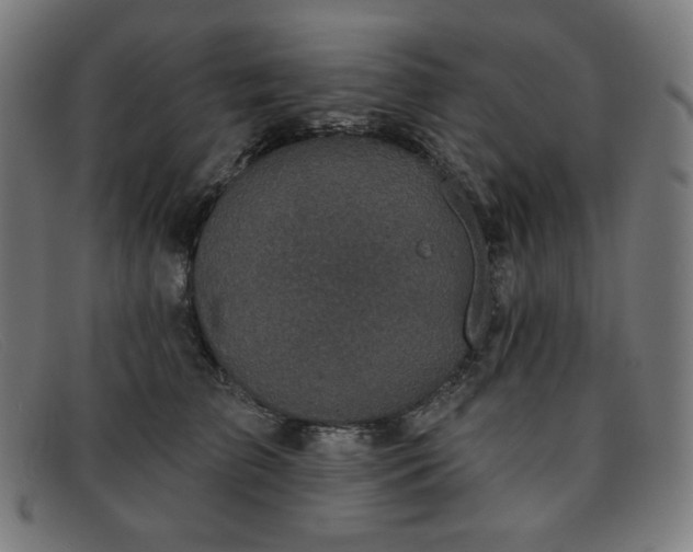 X0000091890709200709121440